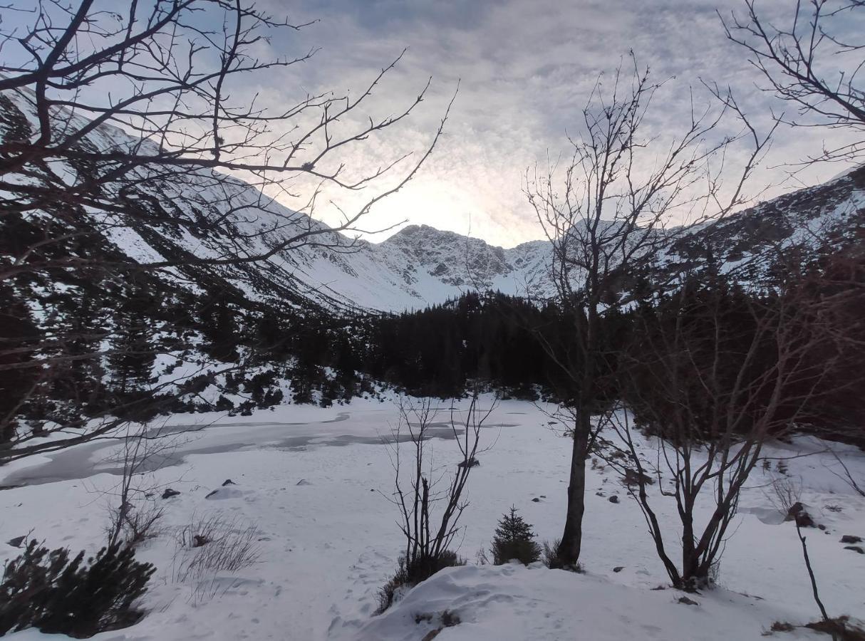 Western Tatras Slovakia Bjelipotok Kültér fotó