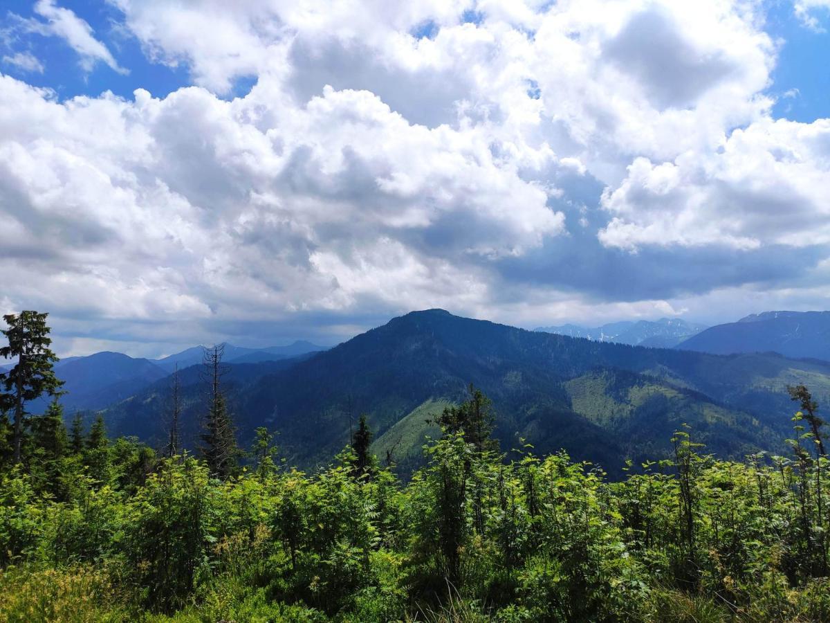 Western Tatras Slovakia Bjelipotok Kültér fotó